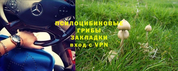 прущие крисы Алексеевка
