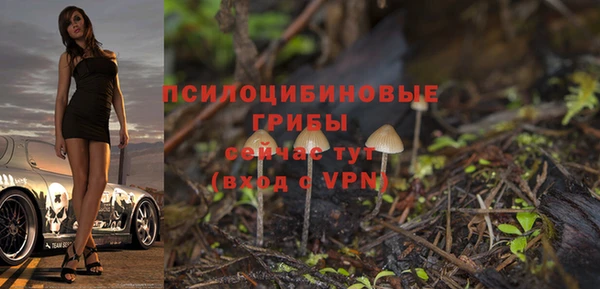 крисы Алексин