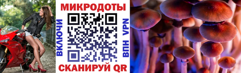Галлюциногенные грибы прущие грибы  Палласовка 